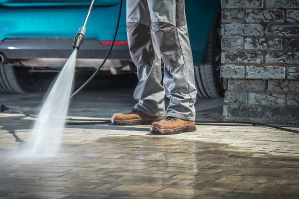 Best Roof Washing  in Paris, TX