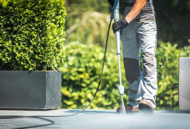 Best Animal Enclosure Cleaning  in Paris, TX