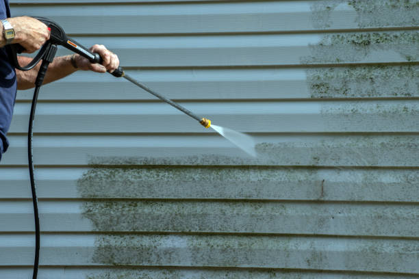 Best House Exterior Washing  in Paris, TX